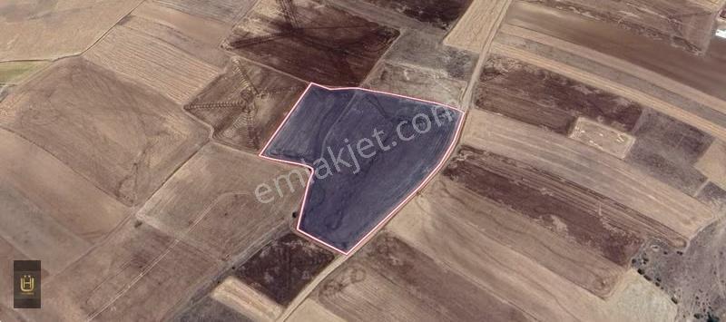 Afyon Üçok Emlaktan İhsaniye Yaylabağında 16.960m² Satılık Tarla - Görsel 2