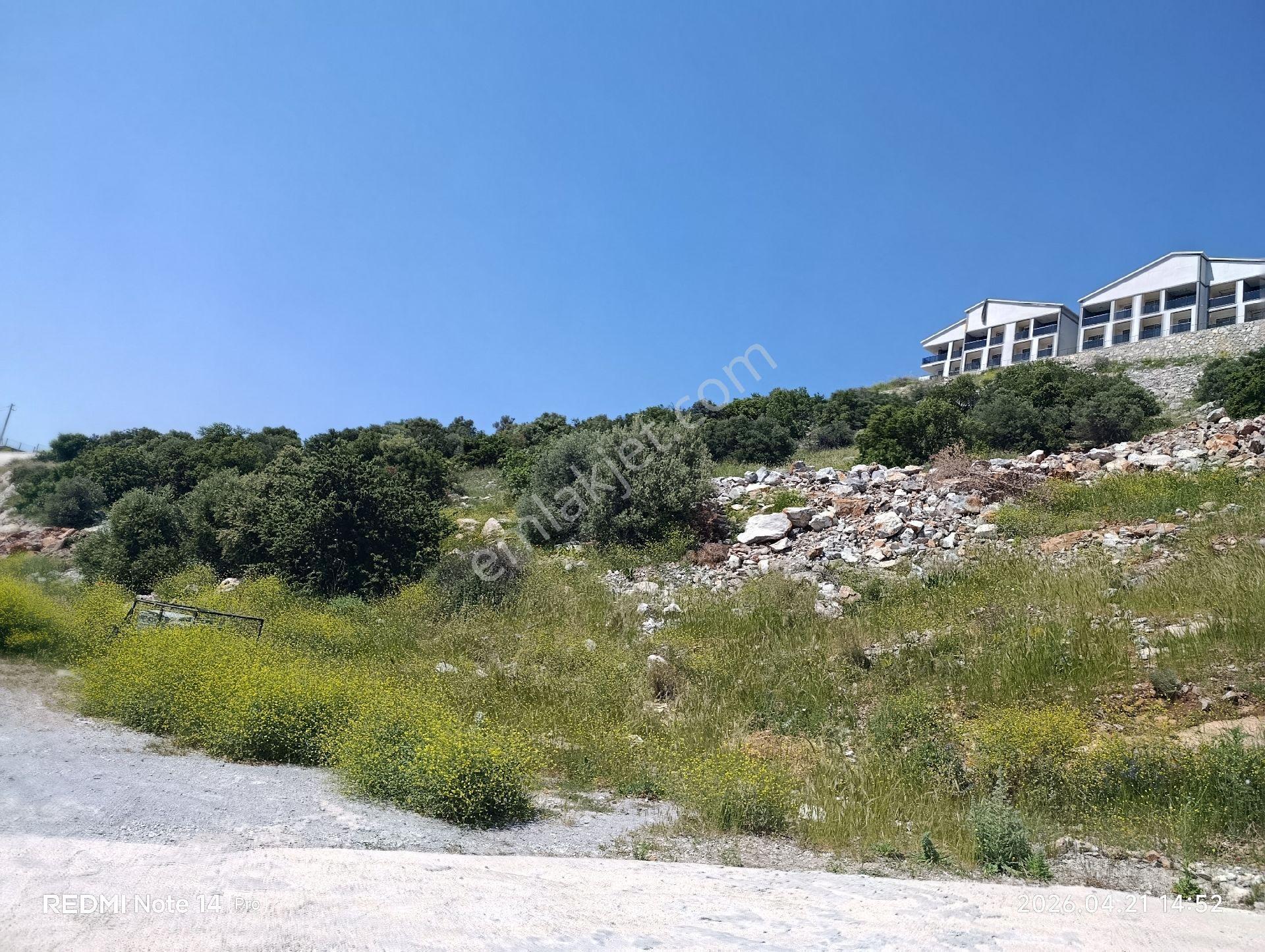 Aydın Didim Akbükful Deniz Manzaralı Arsalar Satıyoruz - Görsel 6