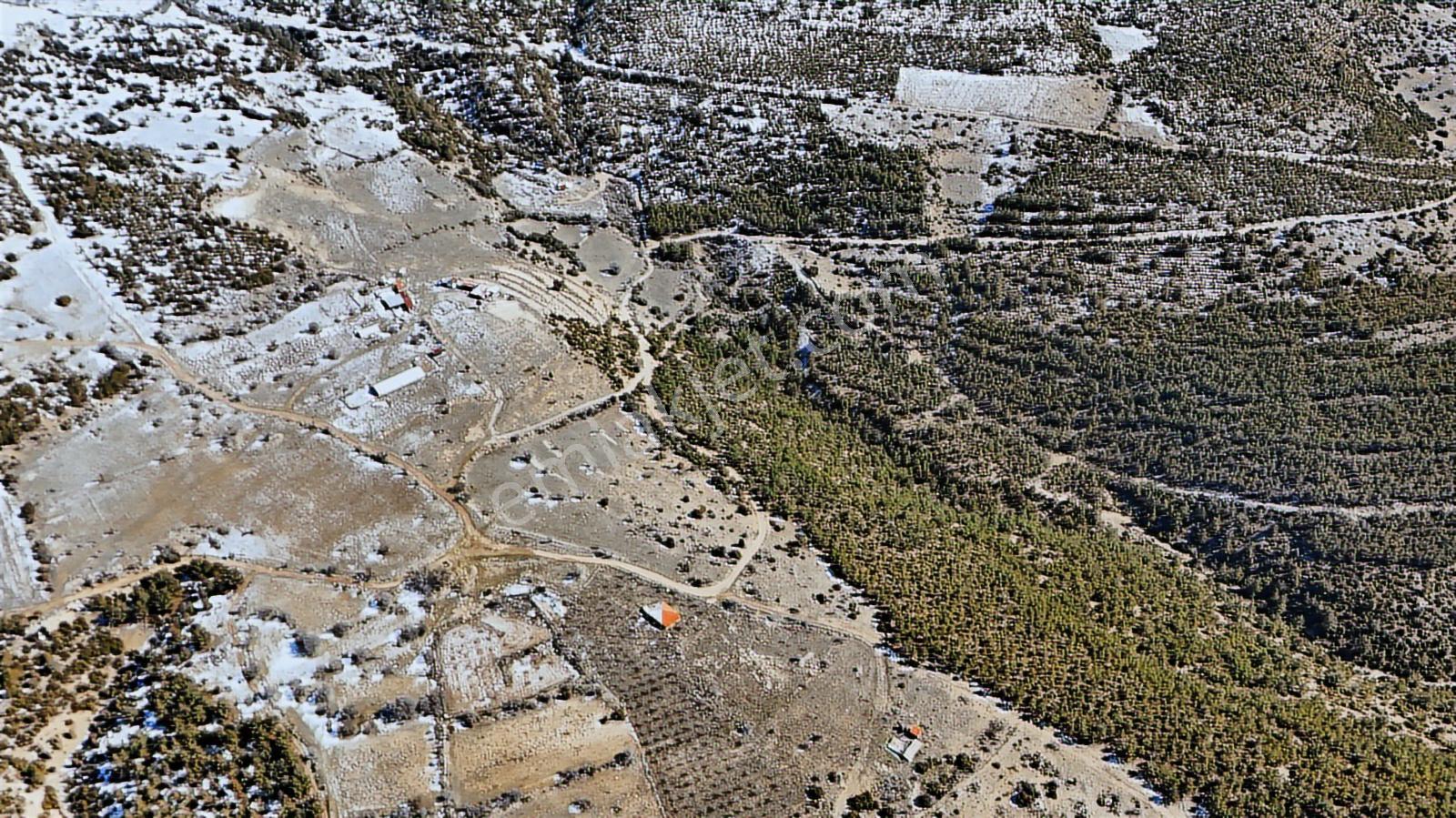 Denizli Serinhisar Ayaz'da Çiftlik Yapmaya Uygun 20.385 M2 Tarla - Görsel 2