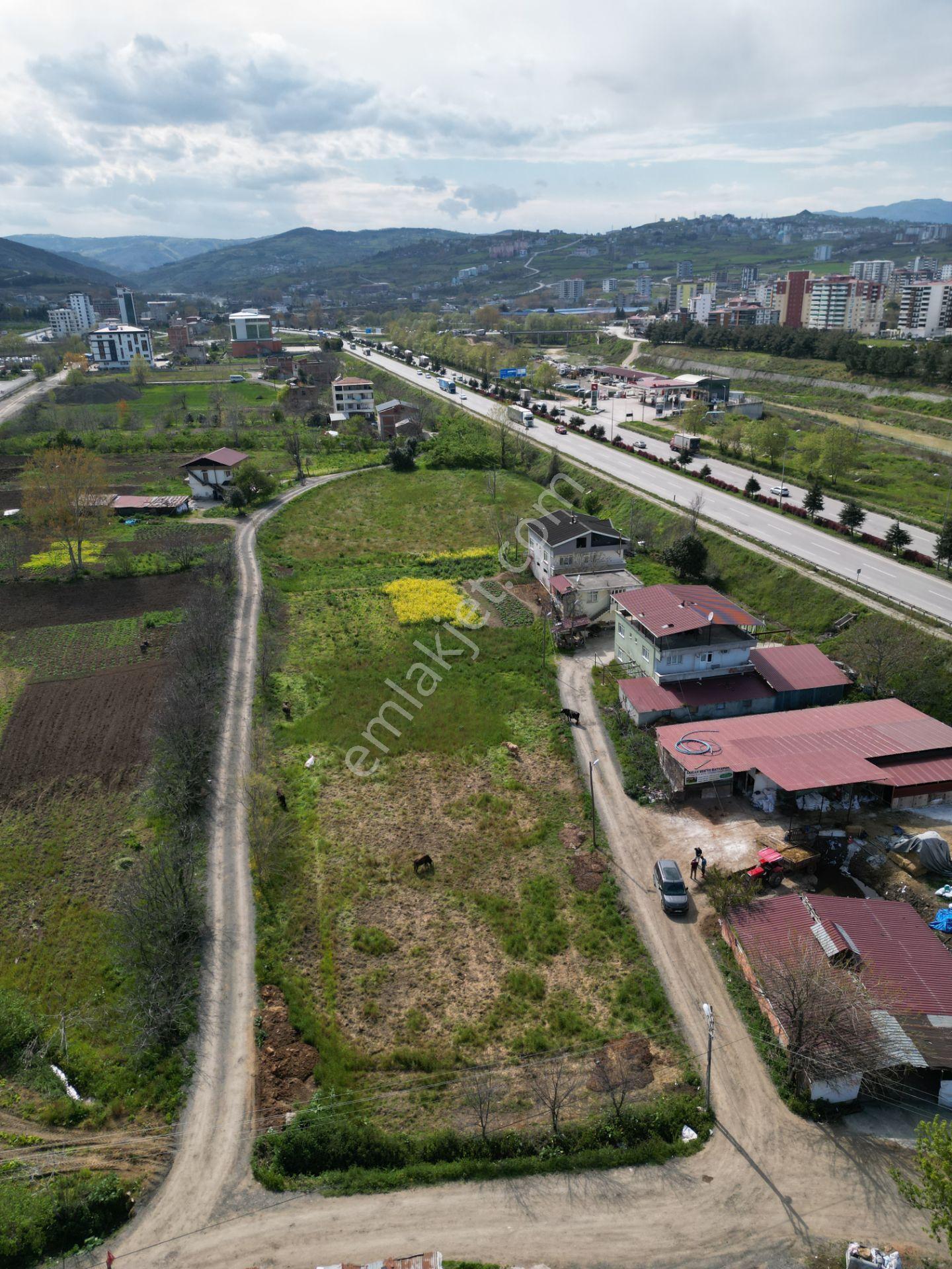 Dereler Ankara Bulvarı Cepheli Ticaret+konut İmarlı 511 M² Hisse - Görsel 6