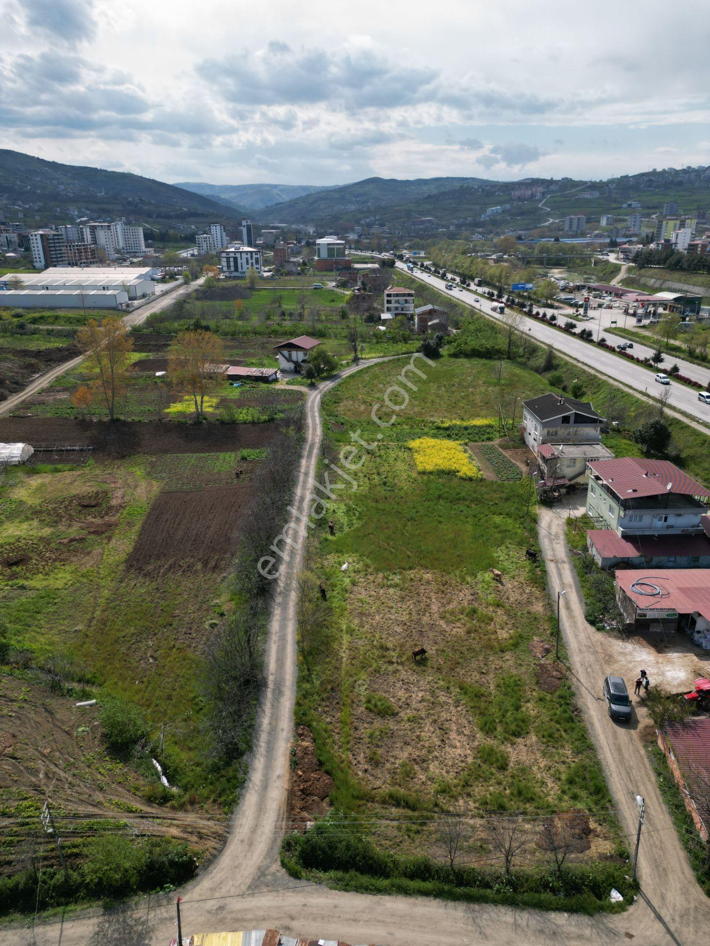 Dereler Ankara Bulvarı Cepheli Ticaret+konut İmarlı 511 M² Hisse - Görsel 7