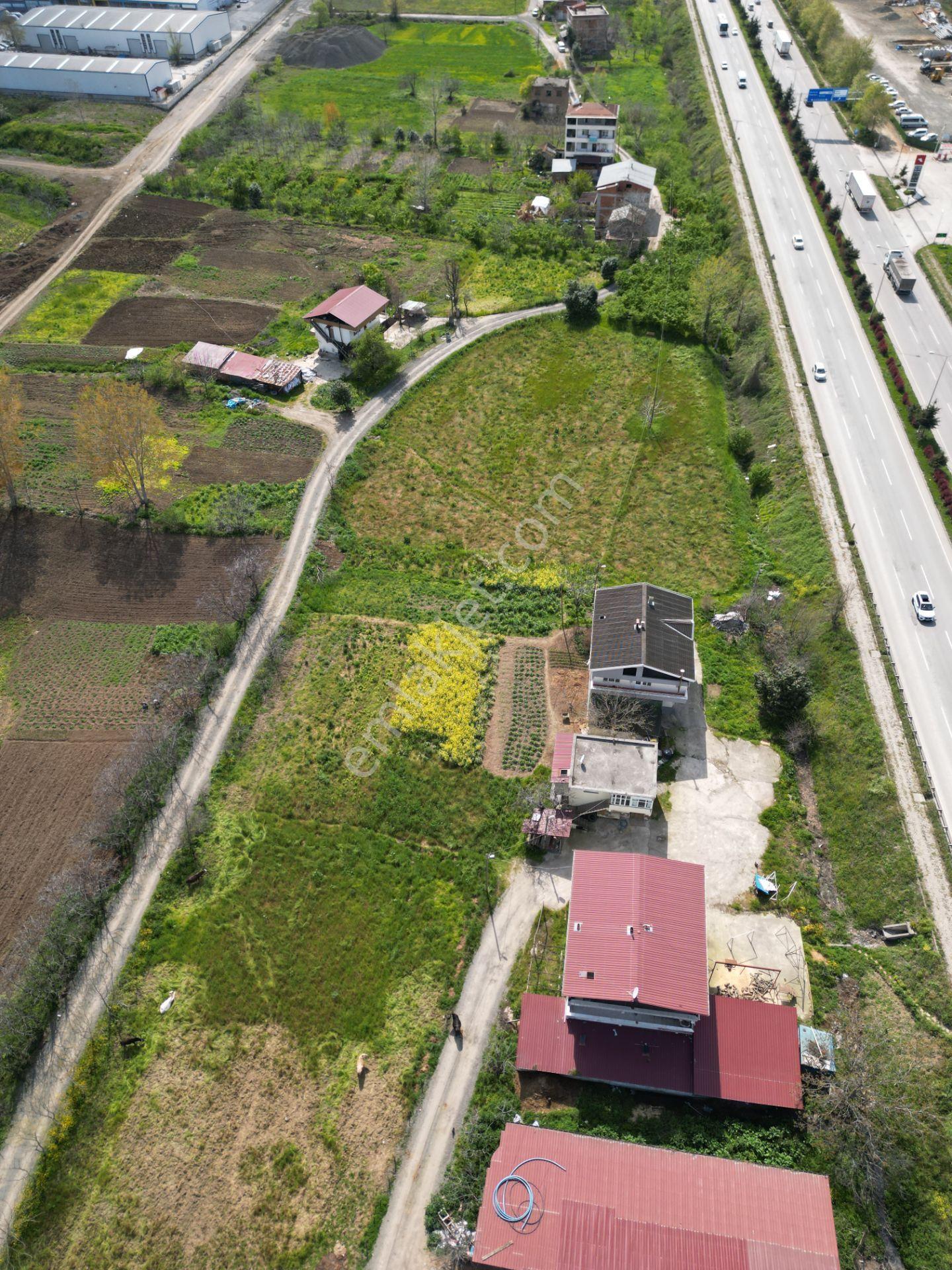 Dereler Ankara Bulvarı Cepheli Ticaret+konut İmarlı 511 M² Hisse - Görsel 4