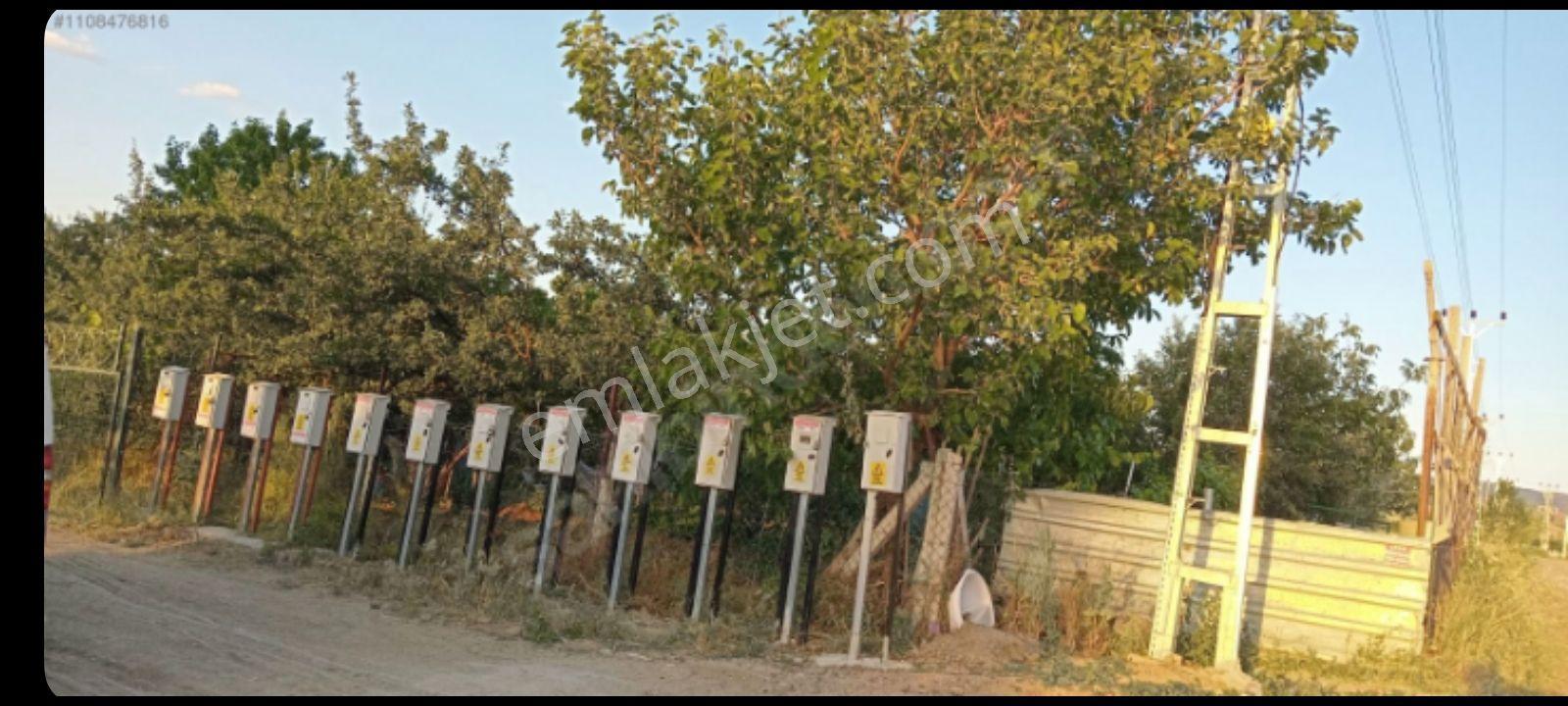 Akyurt Merkeze Çok Yakın Sahibinden Satılık Hobi Bahçesi - Görsel 7
