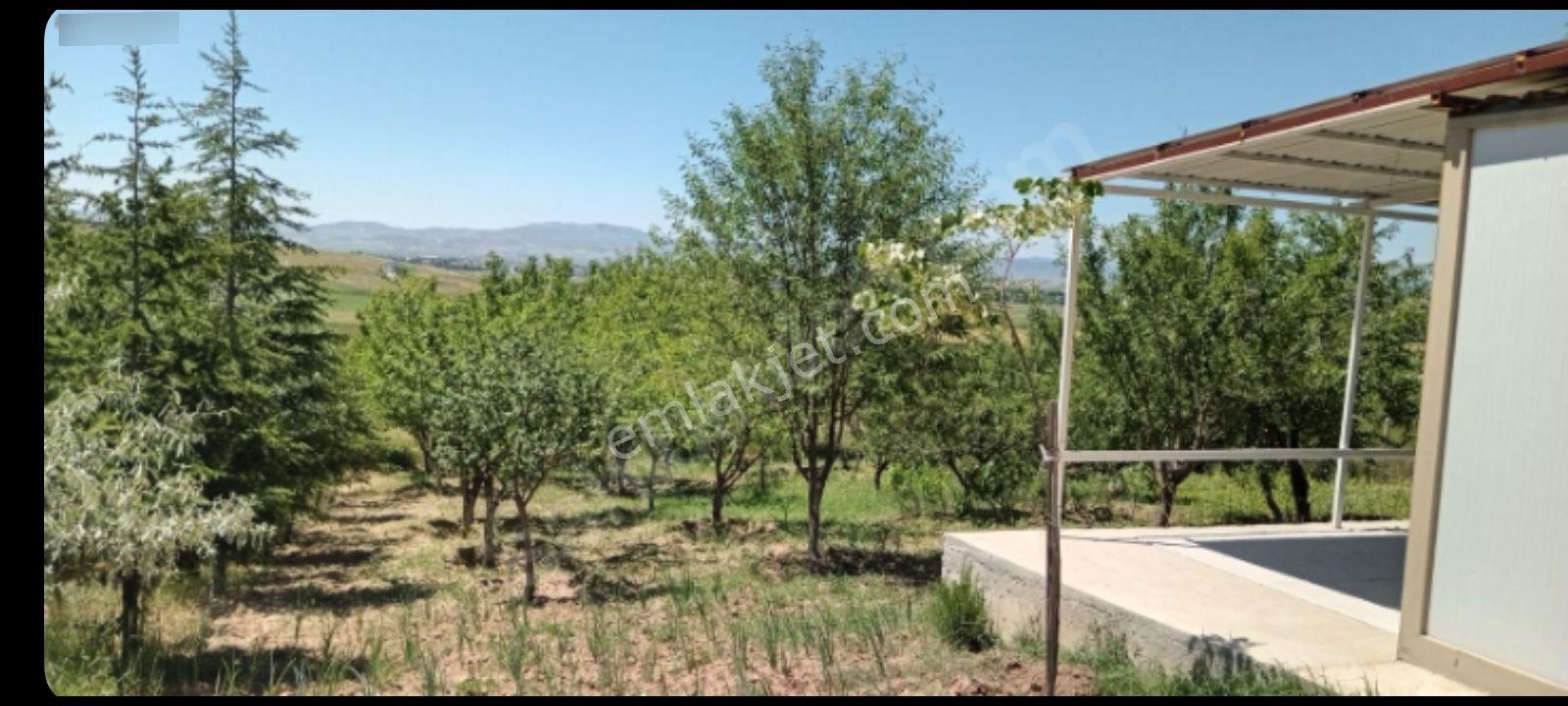 Akyurt Merkeze Çok Yakın Sahibinden Satılık Hobi Bahçesi - Görsel 9