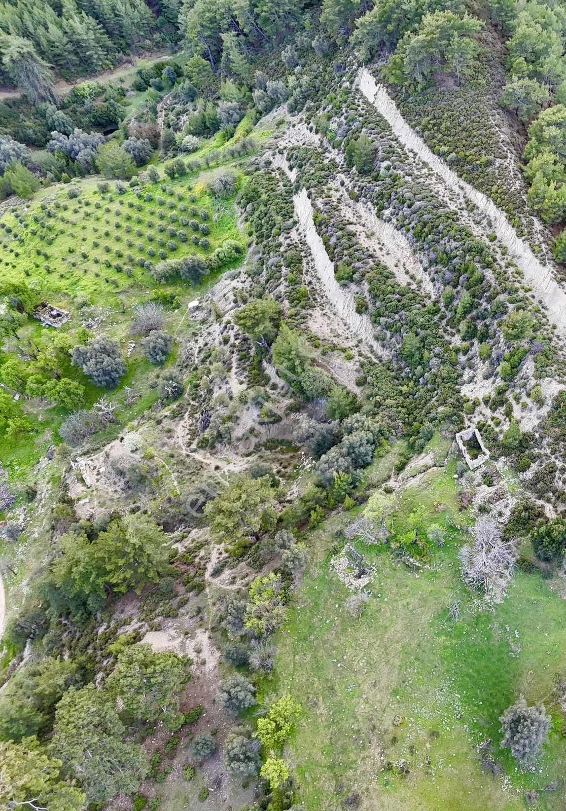 Kaş Dereköy Zeytin Ağaçlı 8.600 M² Tek Tapu Satılık Tarla - Görsel 18