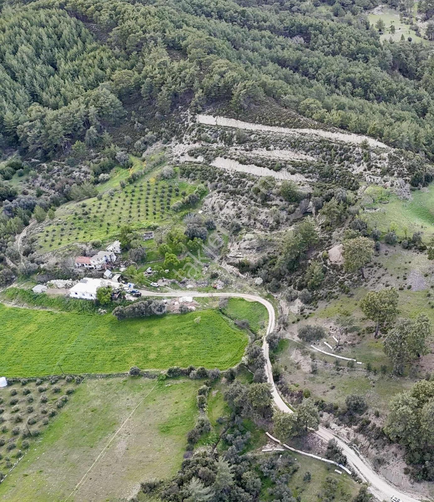 Kaş Dereköy Zeytin Ağaçlı 8.600 M² Tek Tapu Satılık Tarla - Görsel 17