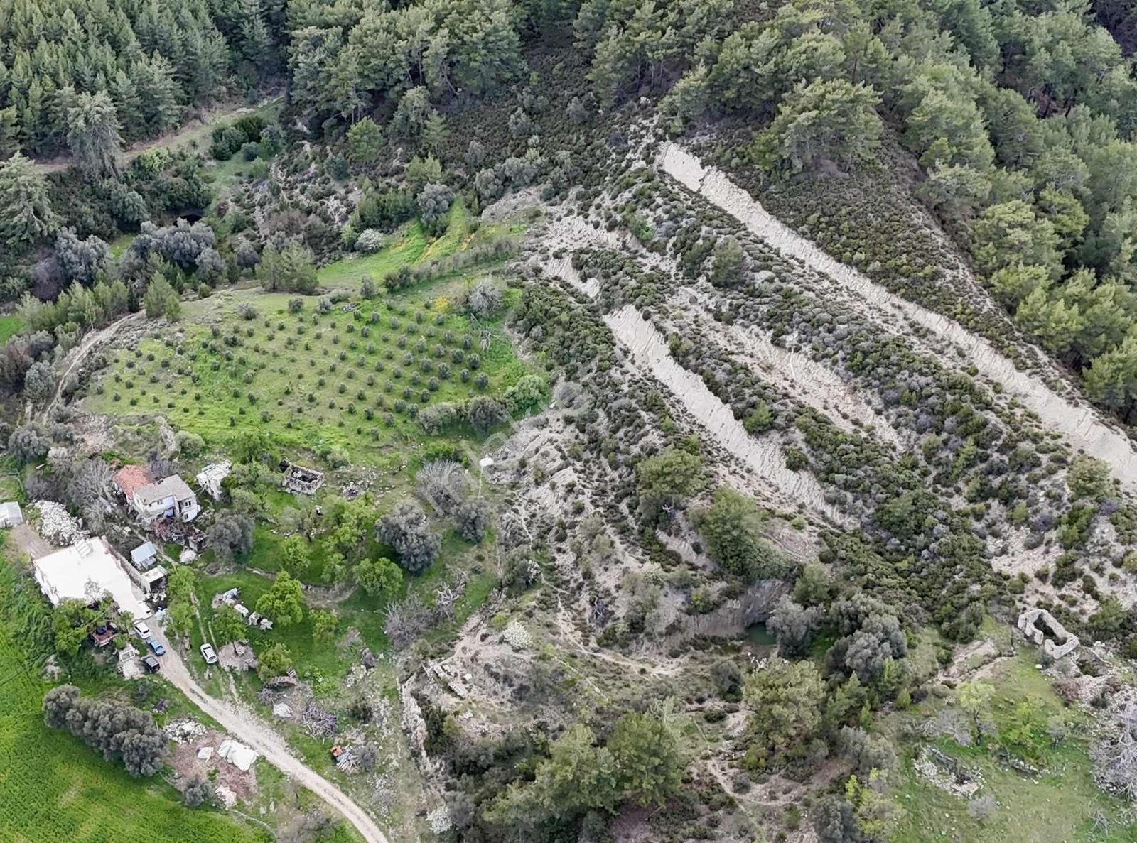 Kaş Dereköy Zeytin Ağaçlı 8.600 M² Tek Tapu Satılık Tarla - Görsel 25