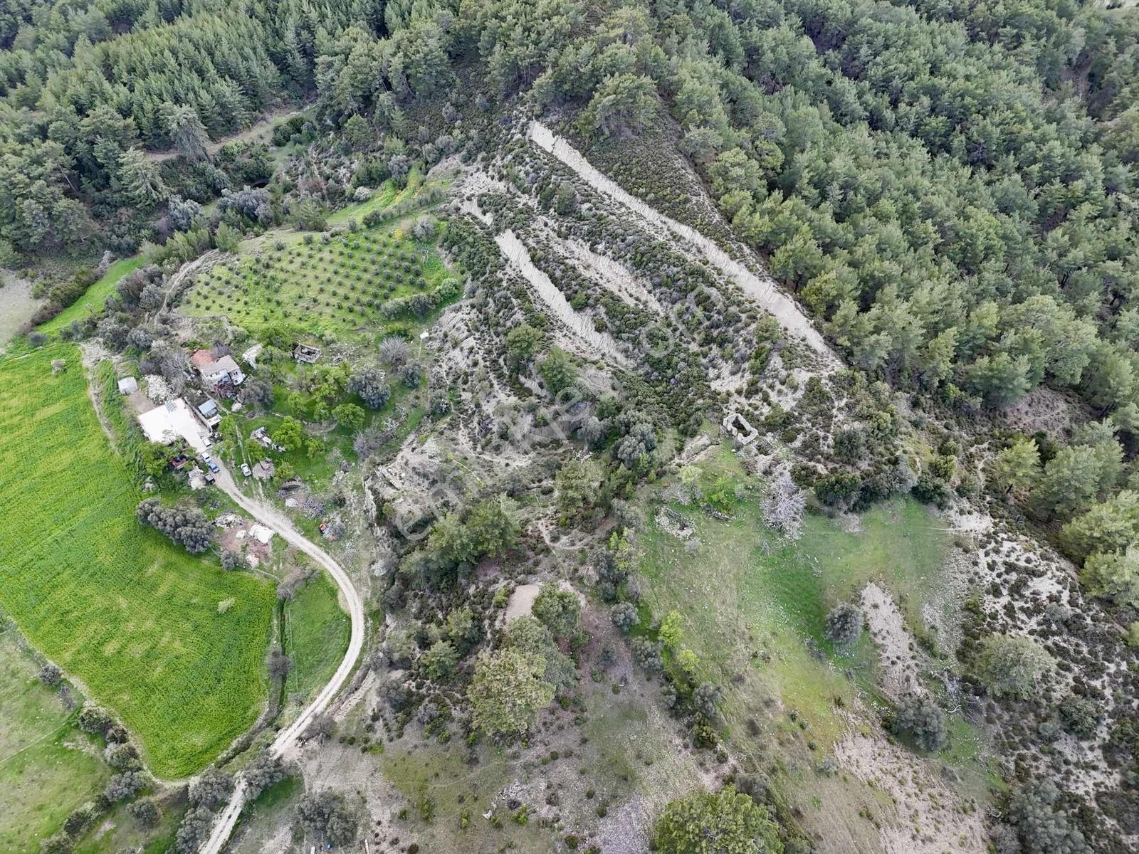 Kaş Dereköy Zeytin Ağaçlı 8.600 M² Tek Tapu Satılık Tarla - Görsel 27