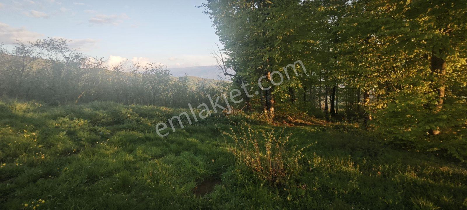 Yıldızlarla Başbaşa Düz Kuzuluk Manzaralı Ve İmarlı Arsa - Görsel 9