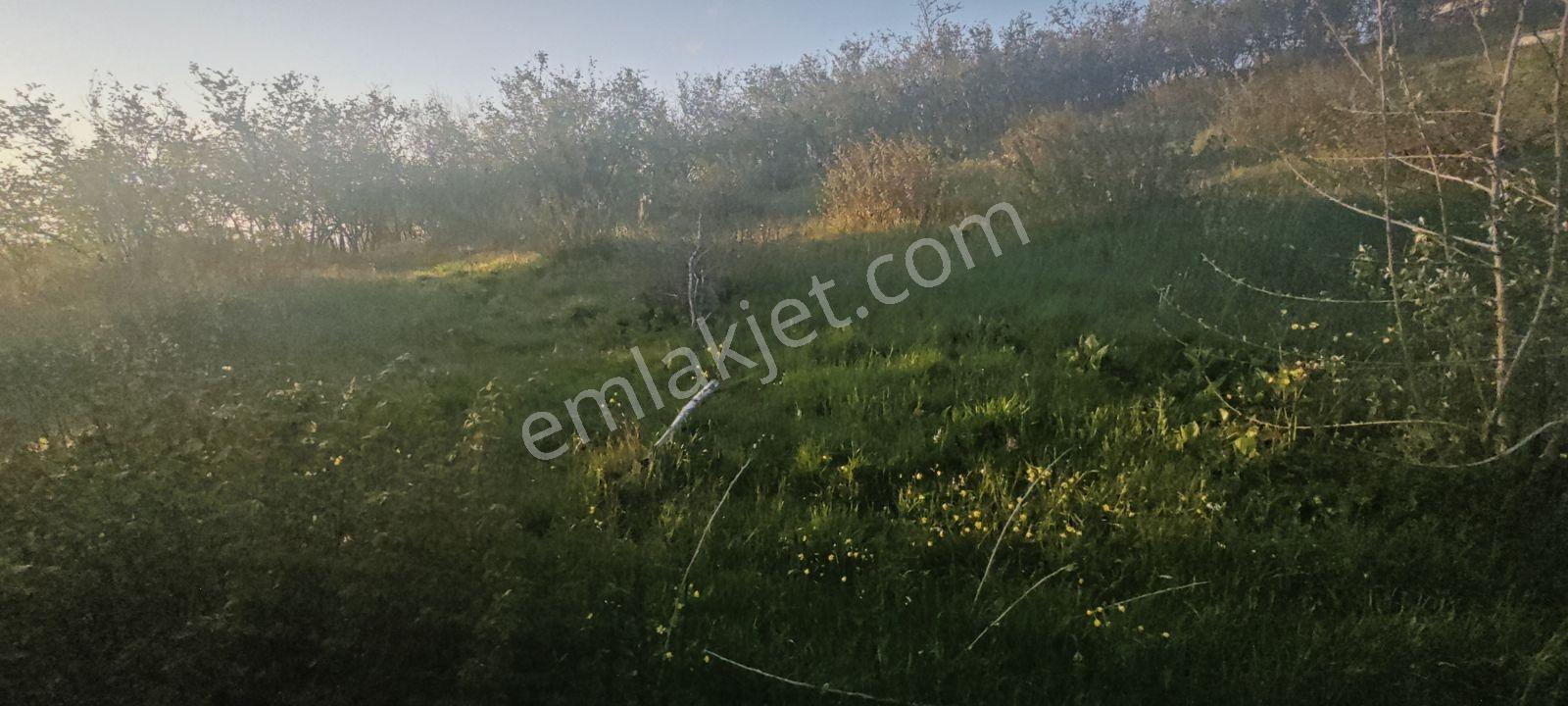 Yıldızlarla Başbaşa Düz Kuzuluk Manzaralı Ve İmarlı Arsa - Görsel 27