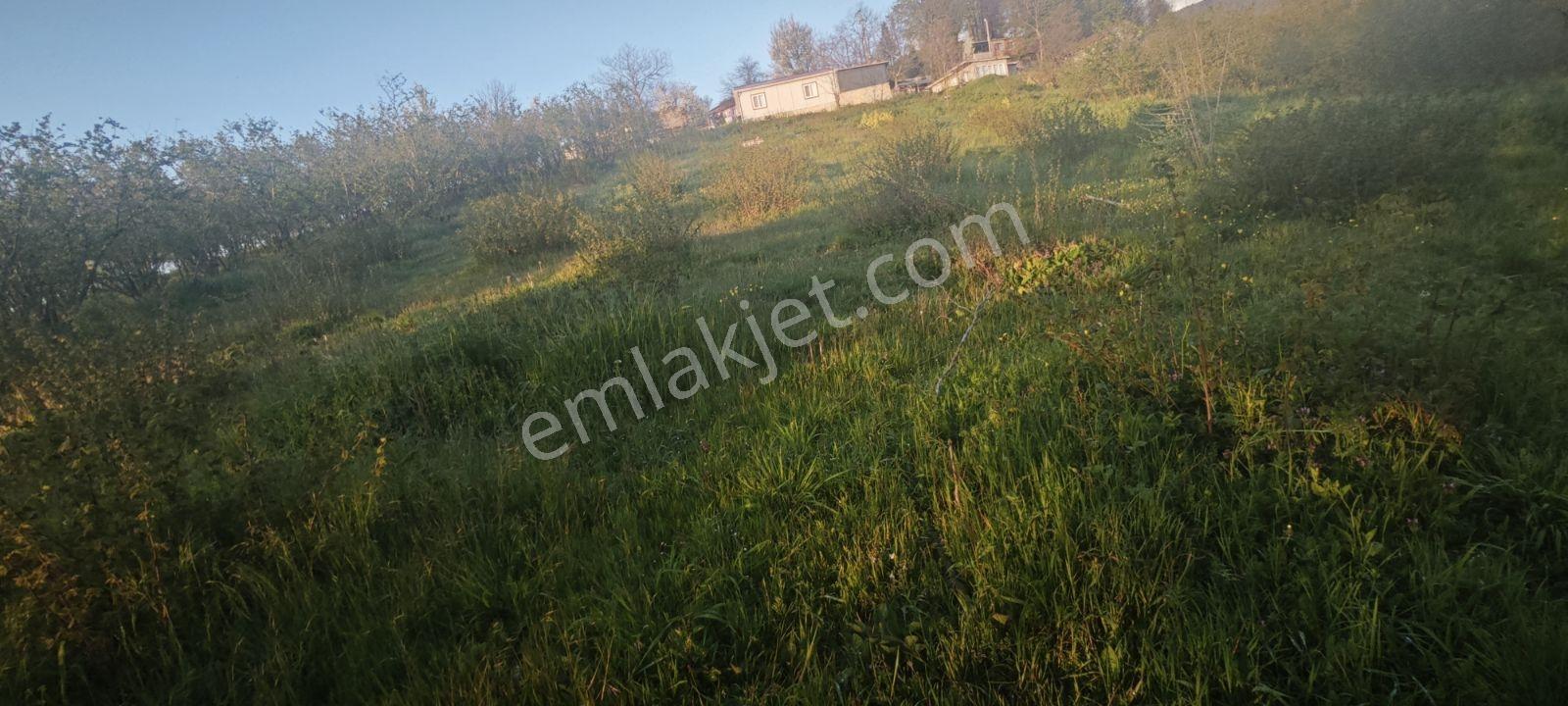 Yıldızlarla Başbaşa Düz Kuzuluk Manzaralı Ve İmarlı Arsa - Görsel 10
