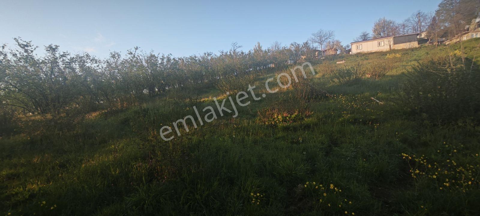 Yıldızlarla Başbaşa Düz Kuzuluk Manzaralı Ve İmarlı Arsa - Görsel 24