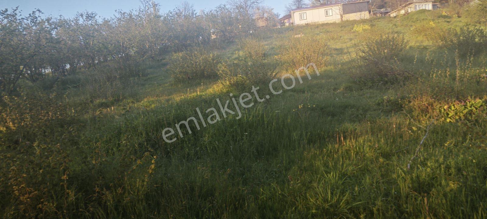 Yıldızlarla Başbaşa Düz Kuzuluk Manzaralı Ve İmarlı Arsa - Görsel 23