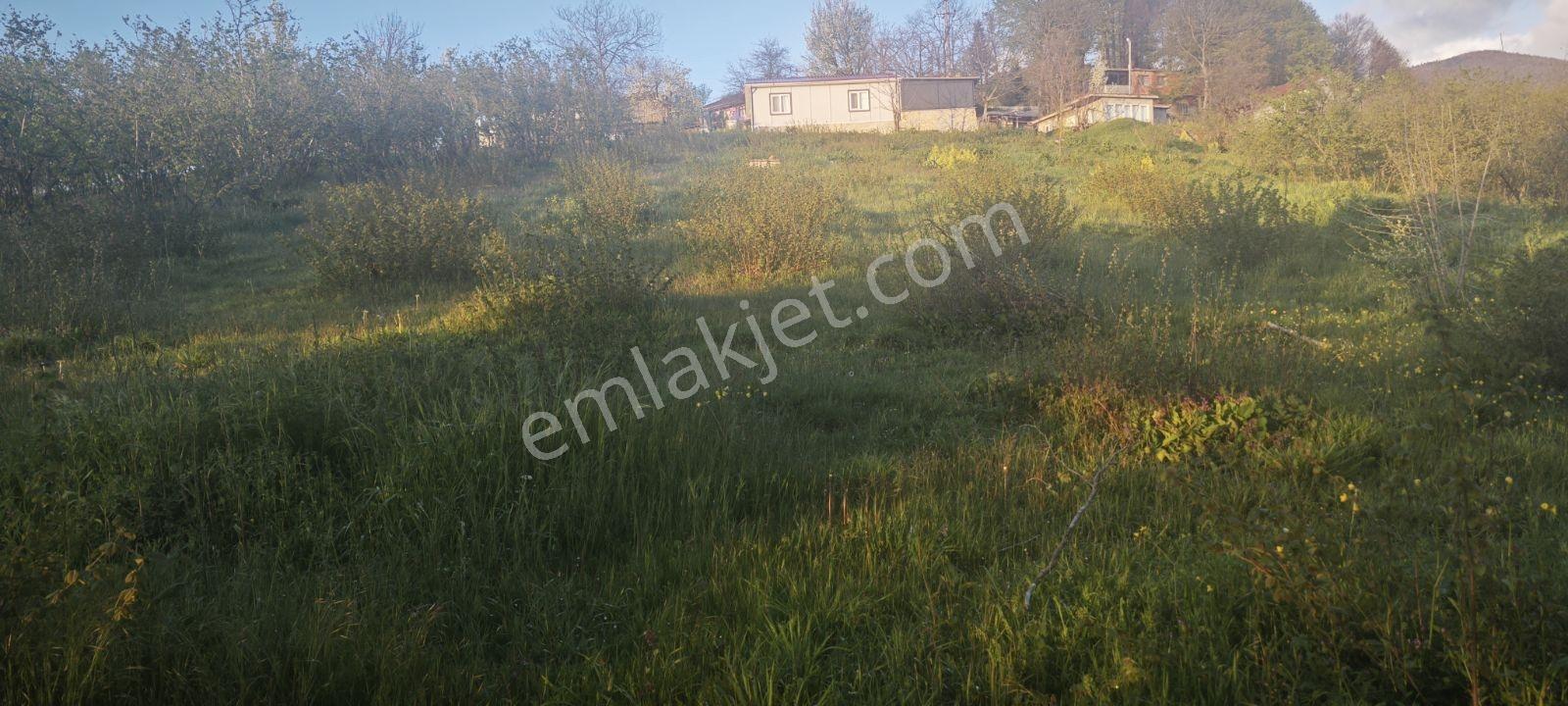 Yıldızlarla Başbaşa Düz Kuzuluk Manzaralı Ve İmarlı Arsa - Görsel 2