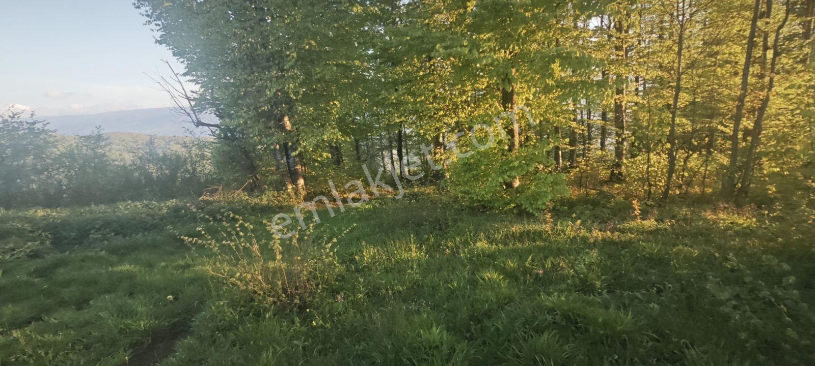 Yıldızlarla Başbaşa Düz Kuzuluk Manzaralı Ve İmarlı Arsa - Görsel 8
