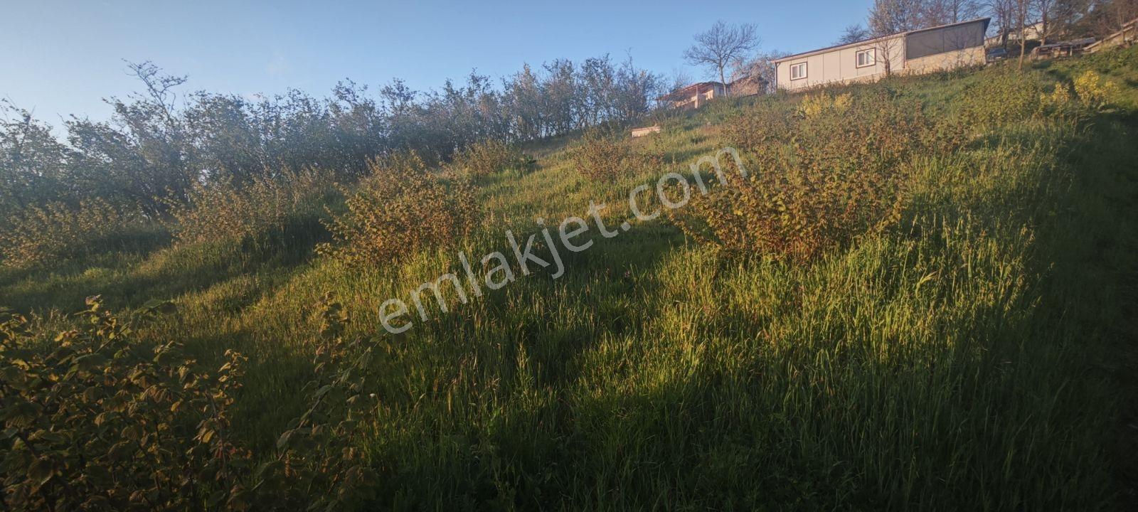 Yıldızlarla Başbaşa Düz Kuzuluk Manzaralı Ve İmarlı Arsa - Görsel 34