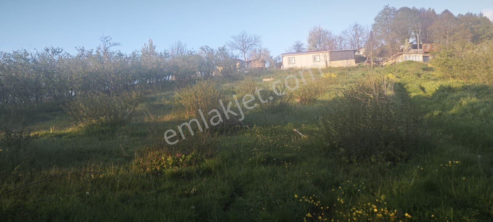 Yıldızlarla Başbaşa Düz Kuzuluk Manzaralı Ve İmarlı Arsa - Görsel 13