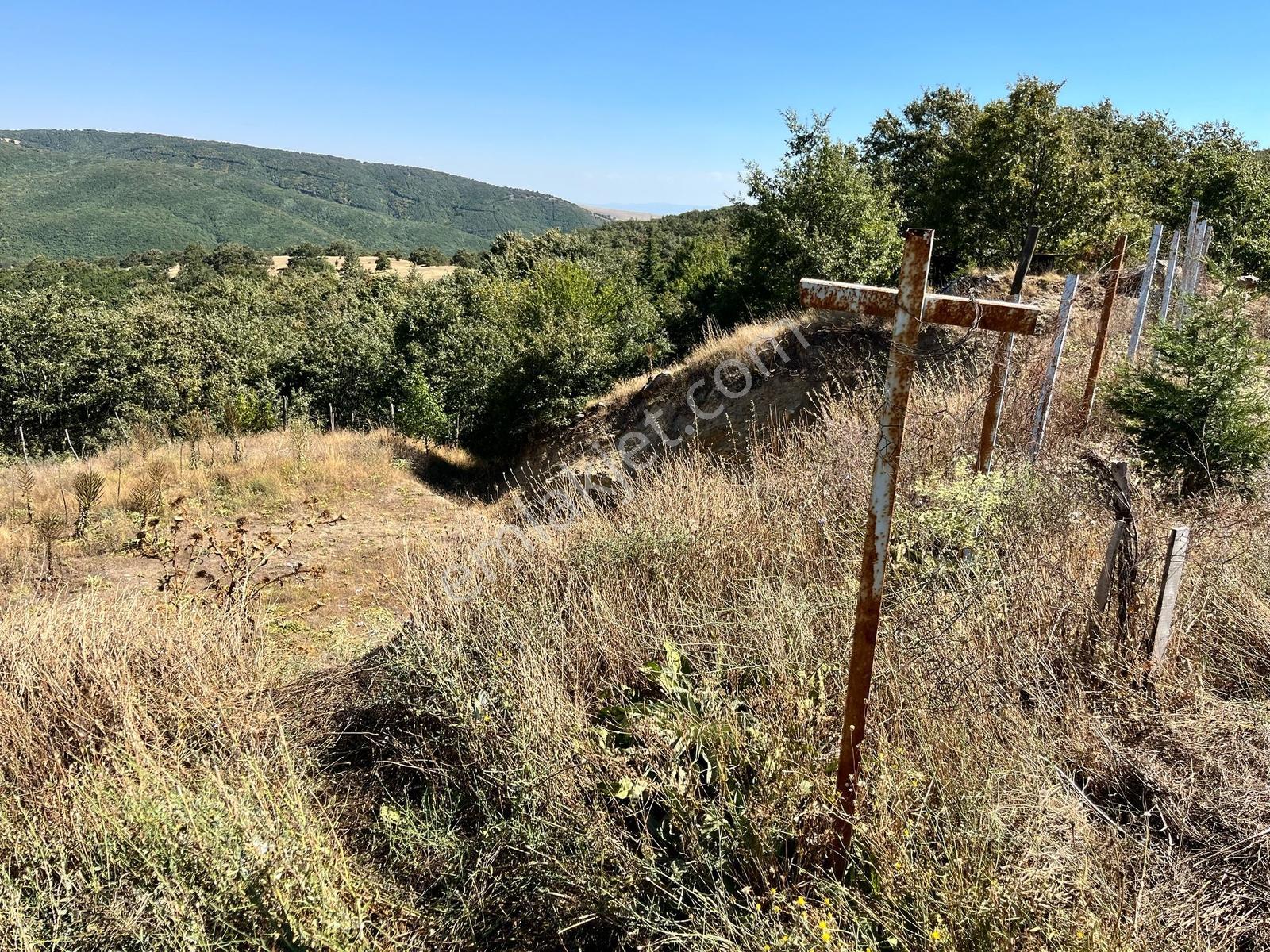 Balkan Gündüzden Bilecik Gündüzbey Köyünde İmarlı Satılık Arsa - Görsel 2
