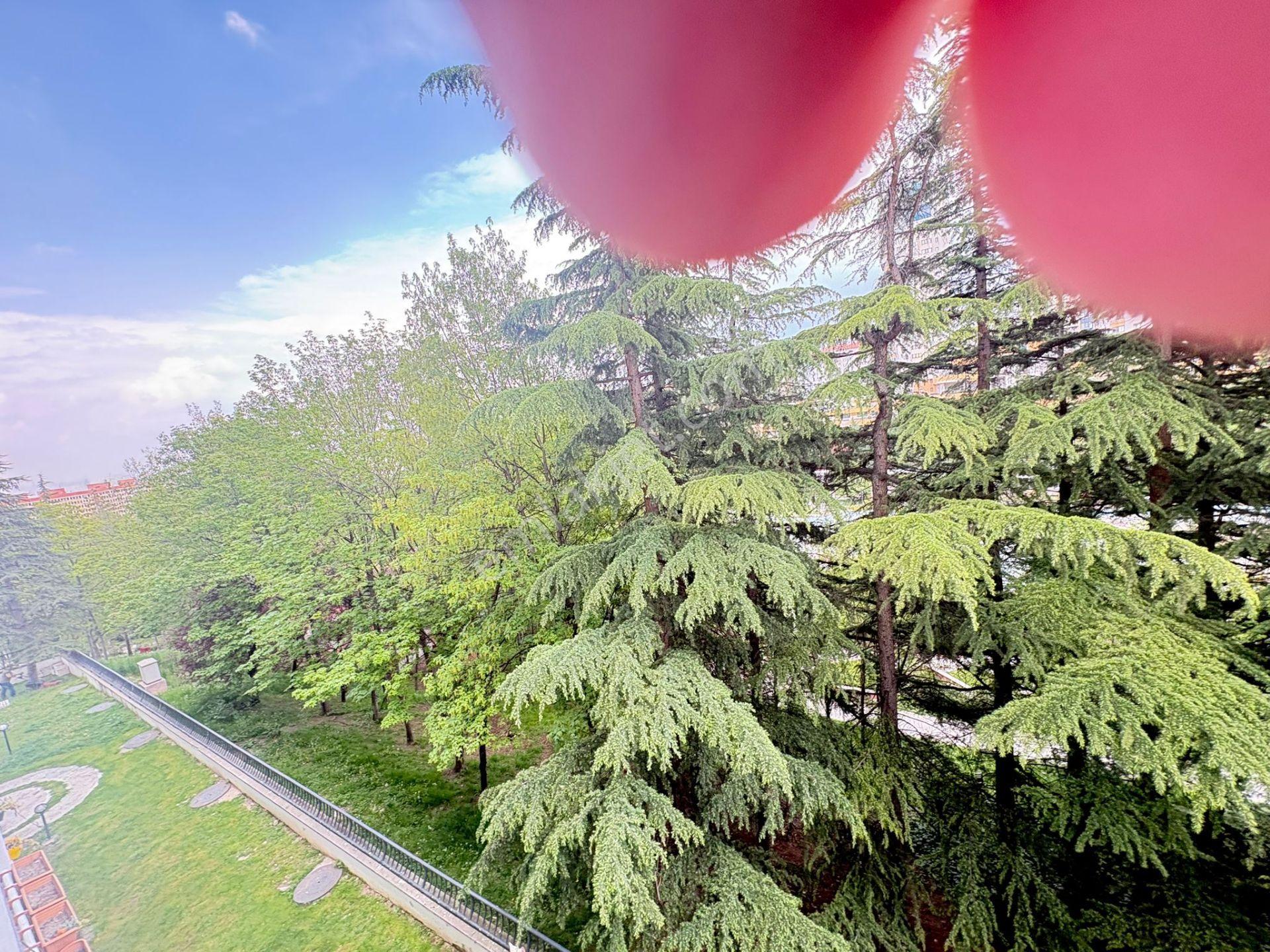 Göral Emlak 2+1 Boş Polis Evi Arkası Vadi Bilokların Da Orta Kat Dikmen Vadisi Manzaralı - Görsel 33