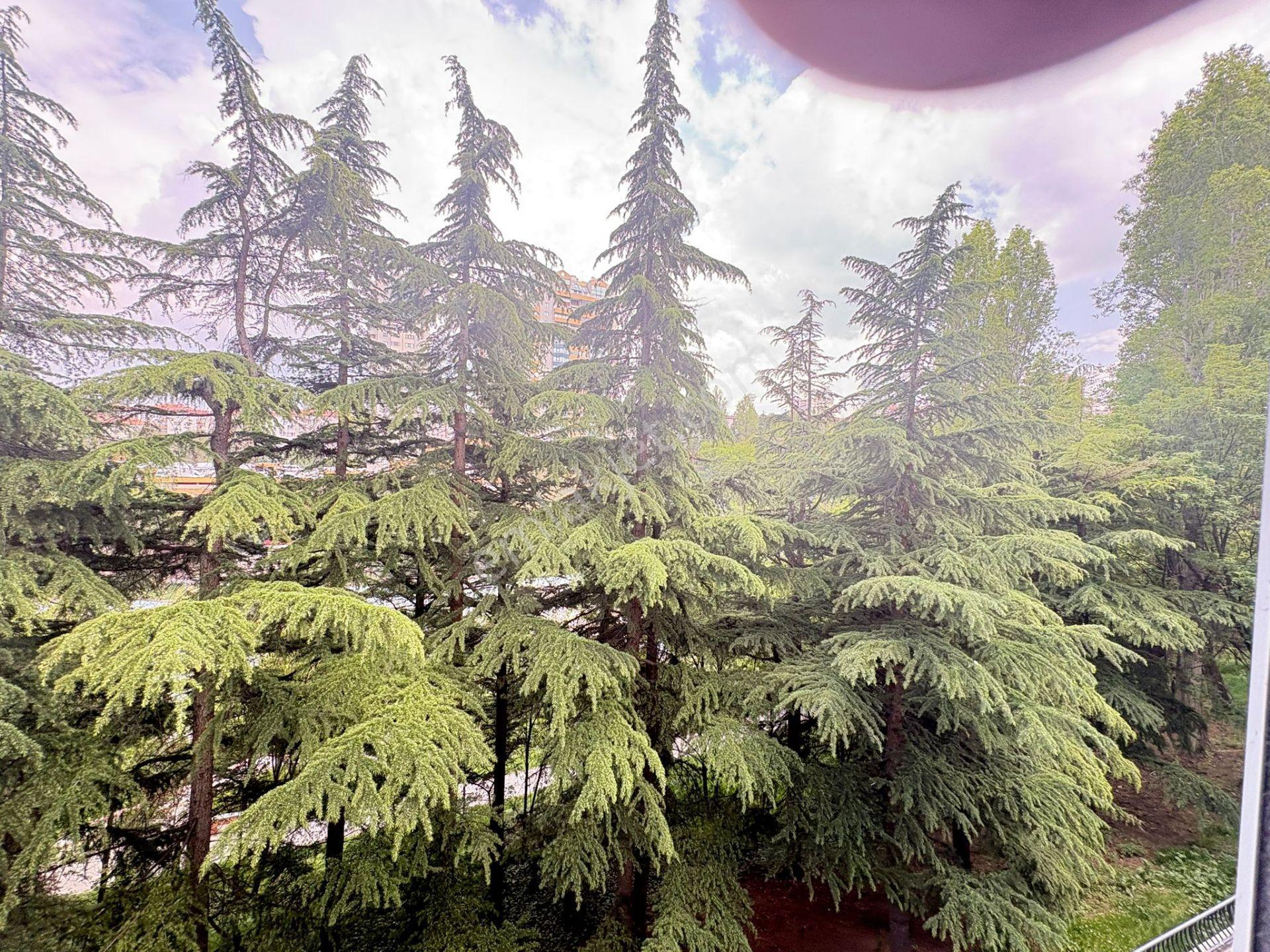 Göral Emlak 2+1 Boş Polis Evi Arkası Vadi Bilokların Da Orta Kat Dikmen Vadisi Manzaralı - Görsel 34