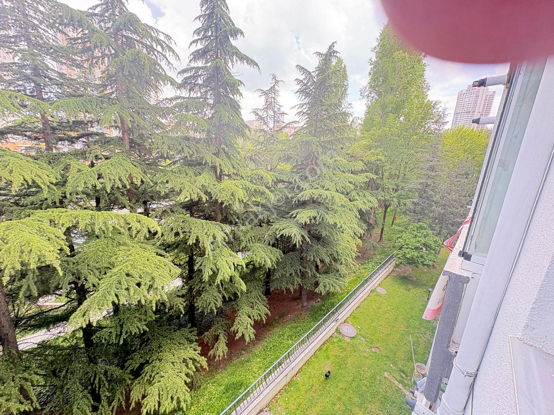Göral Emlak 2+1 Boş Polis Evi Arkası Vadi Bilokların Da Orta Kat Dikmen Vadisi Manzaralı - Görsel 32