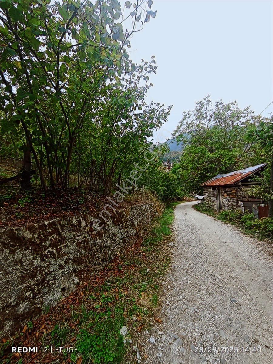 Acil Düzce Golormani Köyünde Satılık Arsa - Görsel 8