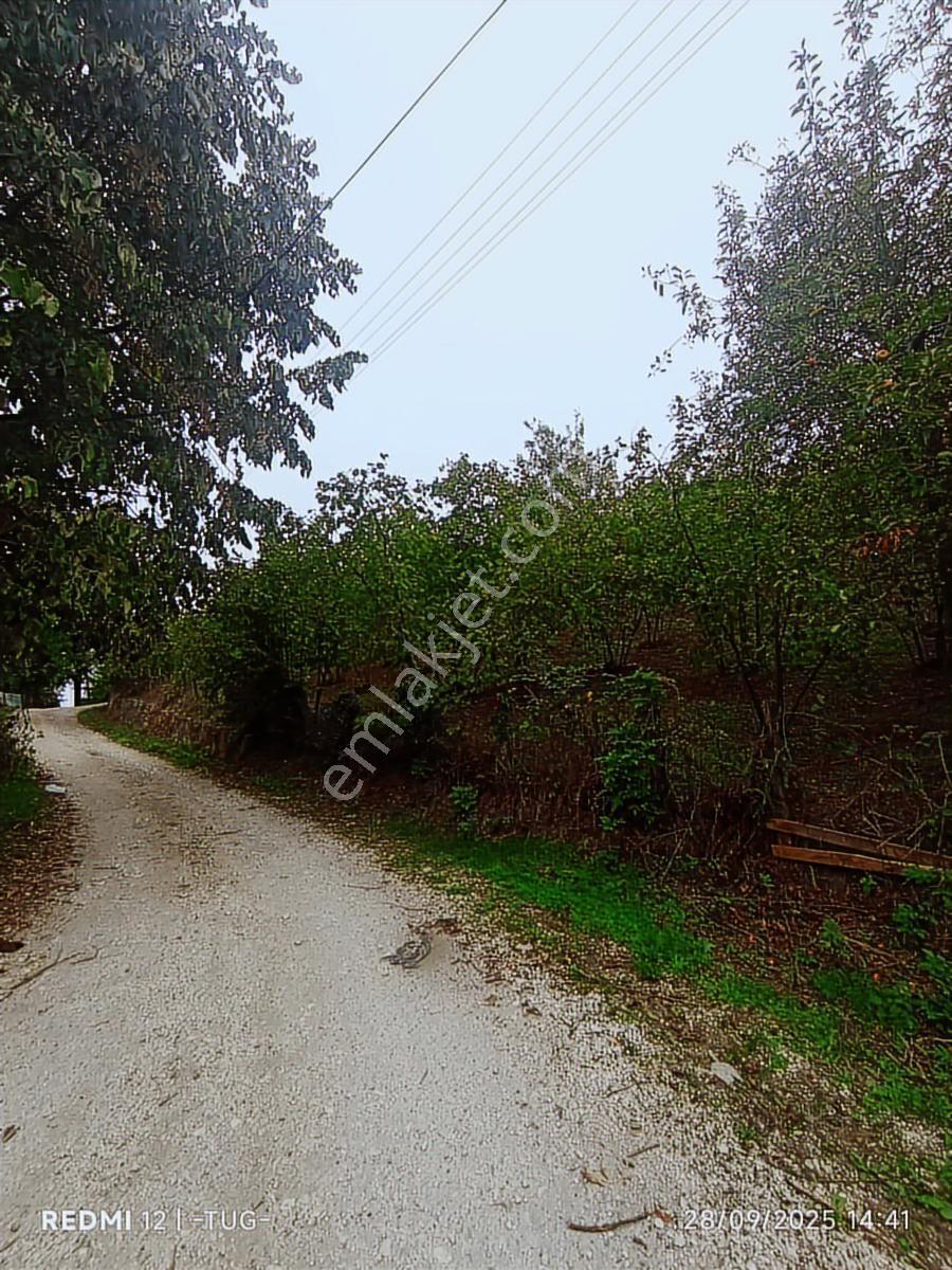 Acil Düzce Golormani Köyünde Satılık Arsa - Görsel 3