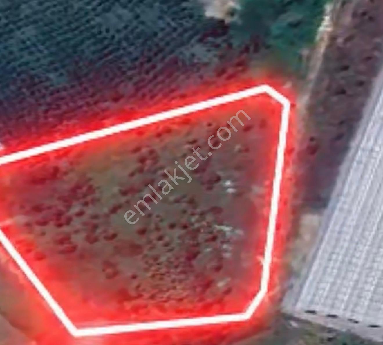 Satılık 6434 M2 Sanayi Arsası Kuzuluk Sanayi - Görsel 6