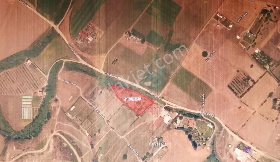 Tekirdağ Marmaraereğlisi Dereağzı Mahallesi Satılık Tarla
