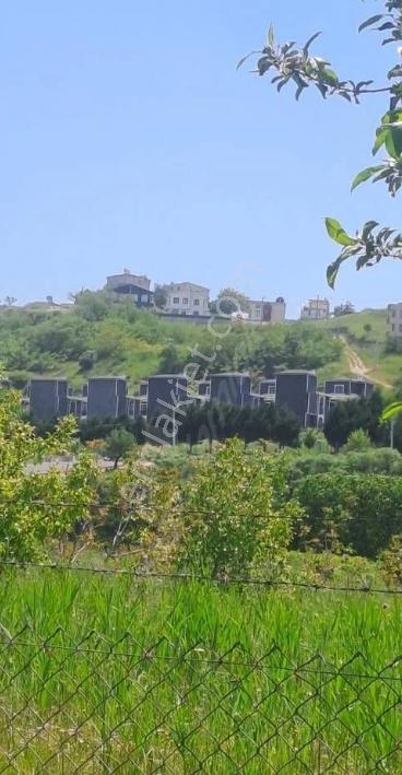 Tekirdağ Marmaraereğlisi Dereağzı Mahallesi Satılık Tarla - Görsel 15