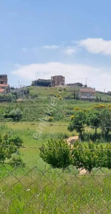 Tekirdağ Marmaraereğlisi Dereağzı Mahallesi Satılık Tarla - Görsel 16