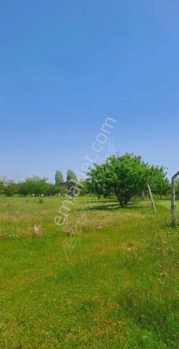 Tekirdağ Marmaraereğlisi Dereağzı Mahallesi Satılık Tarla - Görsel 10