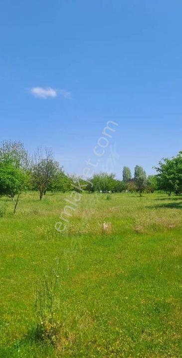 Tekirdağ Marmaraereğlisi Dereağzı Mahallesi Satılık Tarla - Görsel 9