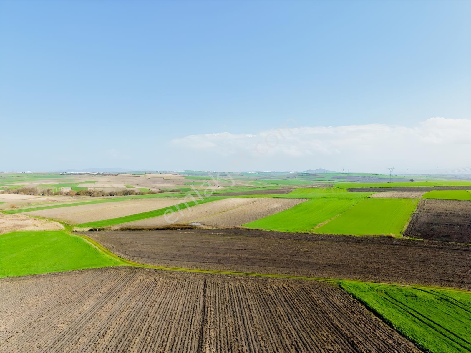 Karakoca'da Satılık 3800 M2 Tarla - Görsel 5