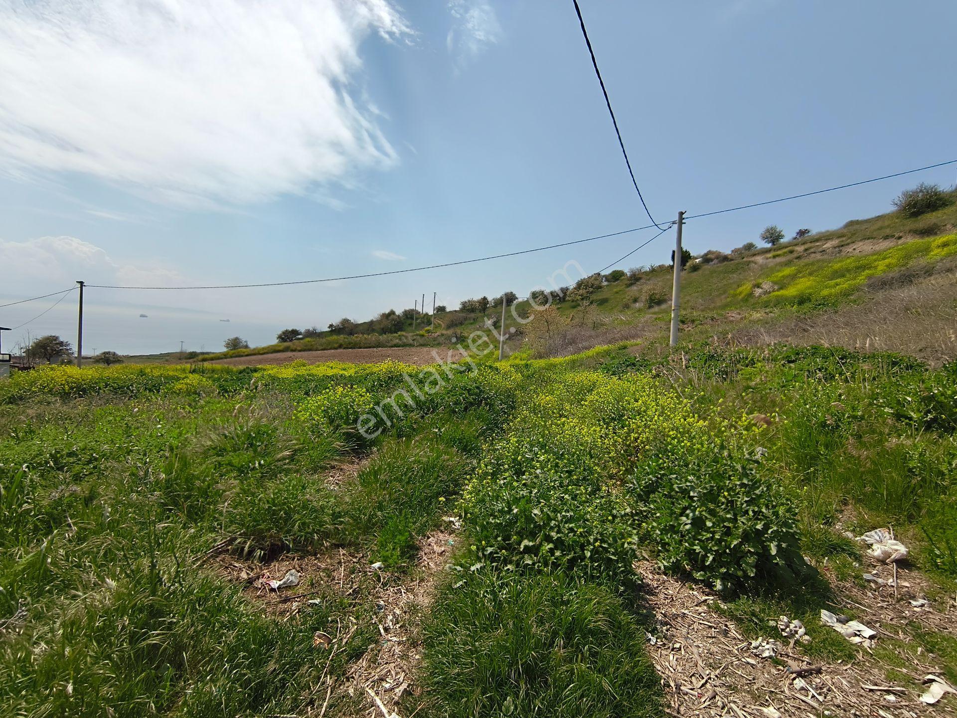 Bulut Yatırımdan 270 M² % 25 Villa İmarlı Deniz Manzaralı Köşe Parsel Arsa - Görsel 7