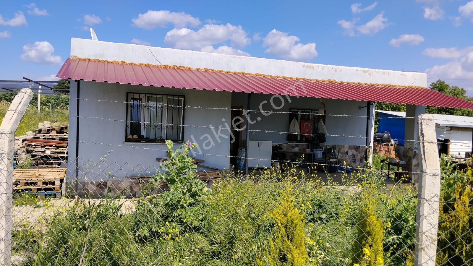 Manisa Turgutlu'da Konutlu, Çiftlikli Satılık Tarla - Görsel 12