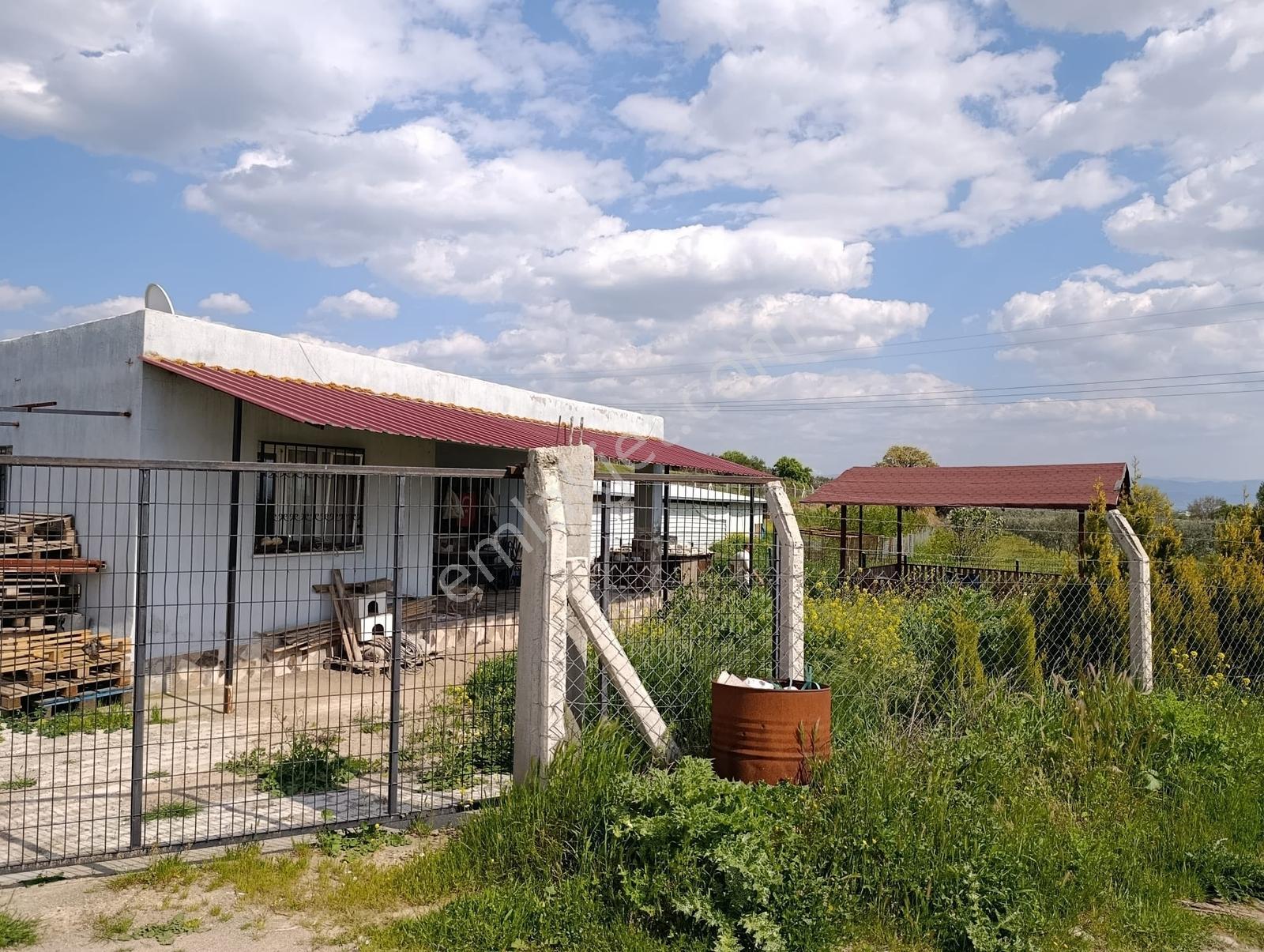 Manisa Turgutlu'da Konutlu, Çiftlikli Satılık Tarla - Görsel 6