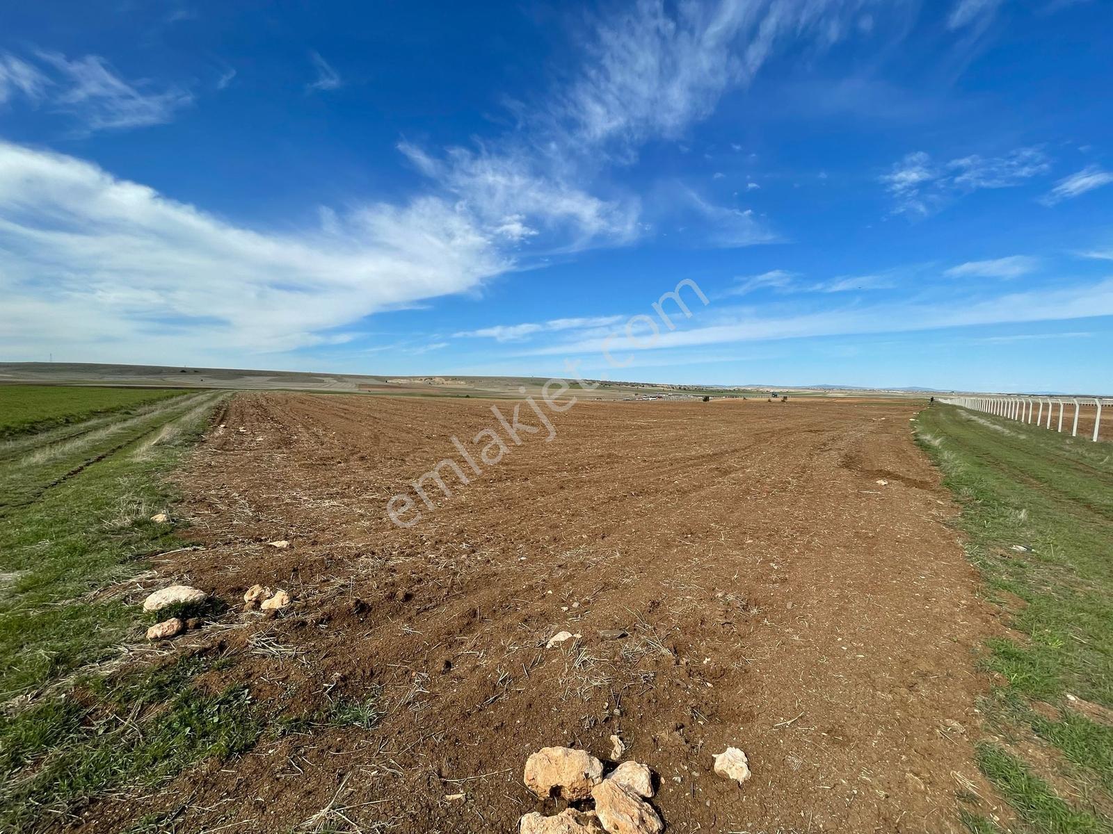 Eskişehir Batı Koridorunda 24.847 M² Tek Tapu Tarla - Görsel 17