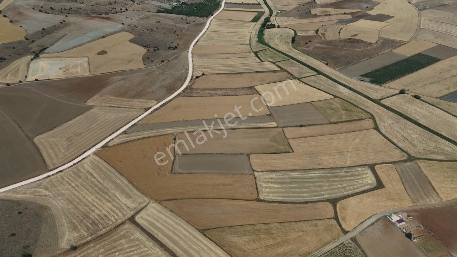Mustafa Yılmaz'dan Tepebaşı Eğriöz'de 8.099 M² Müstakil Tarla - Görsel 11