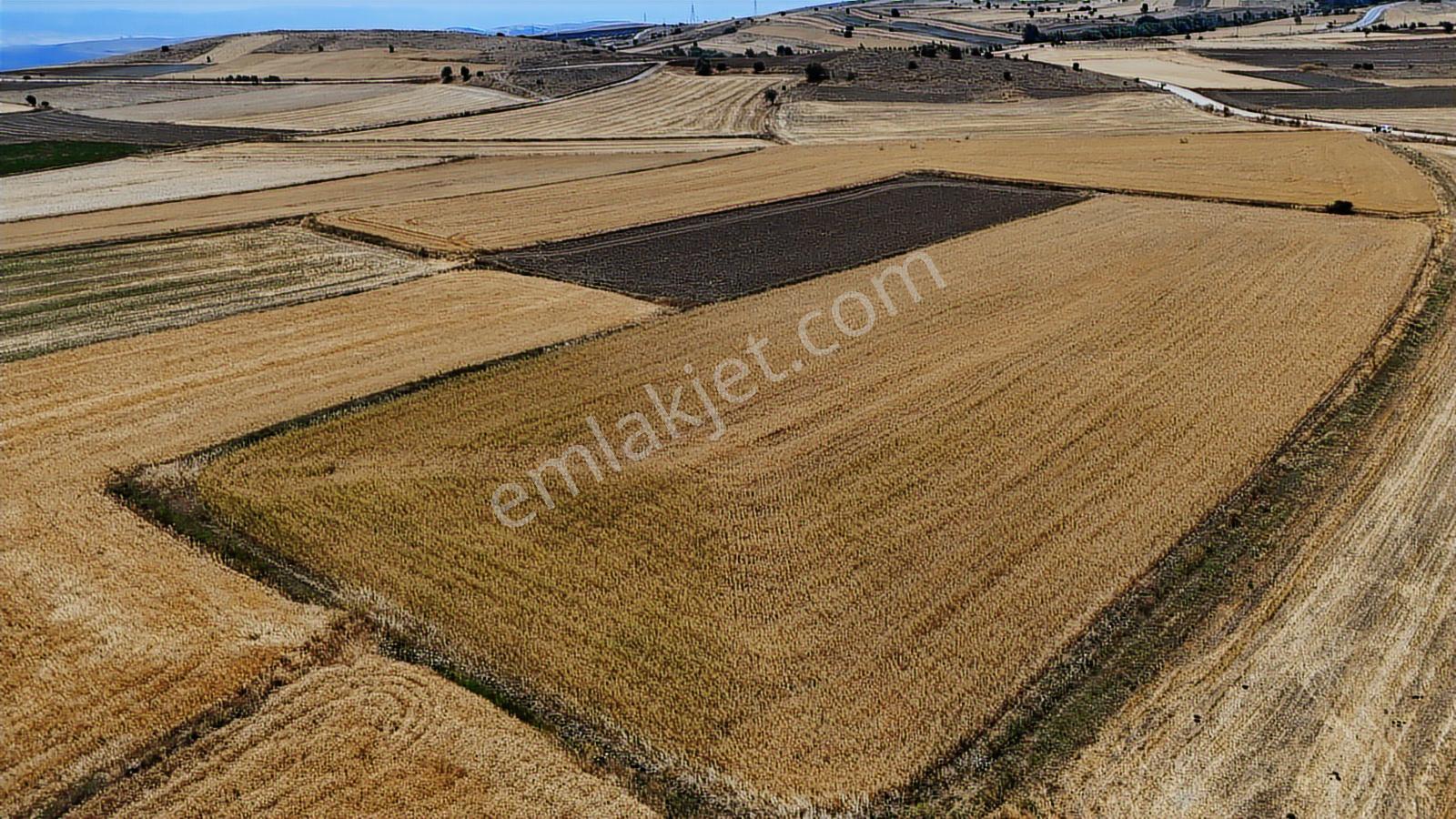 Mustafa Yılmaz'dan Tepebaşı Eğriöz'de 8.099 M² Müstakil Tarla - Görsel 3