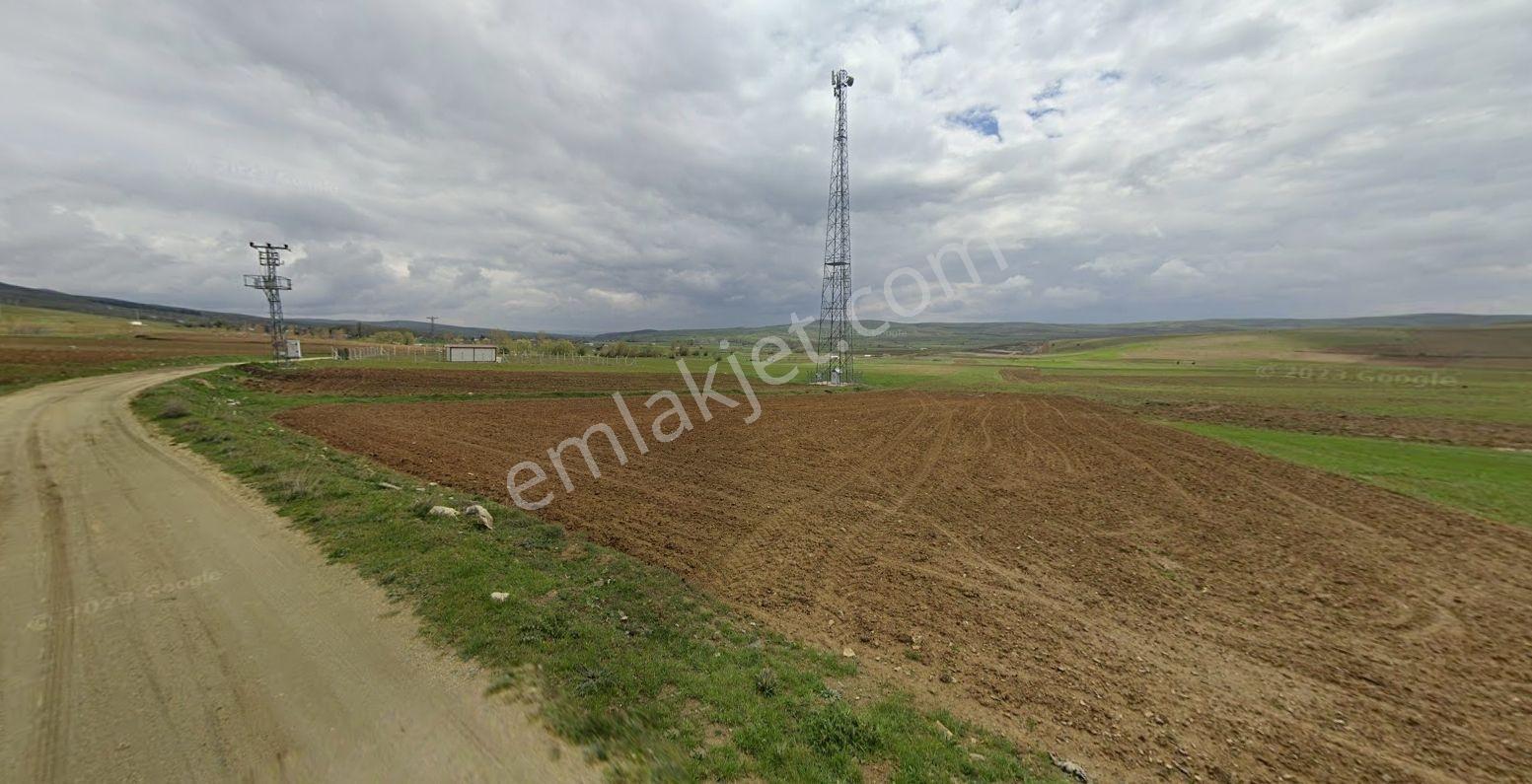 Mustafa Yılmaz'dan Uludere Mh.'de Satılık 2.008,94 M² Tarla - Görsel 9