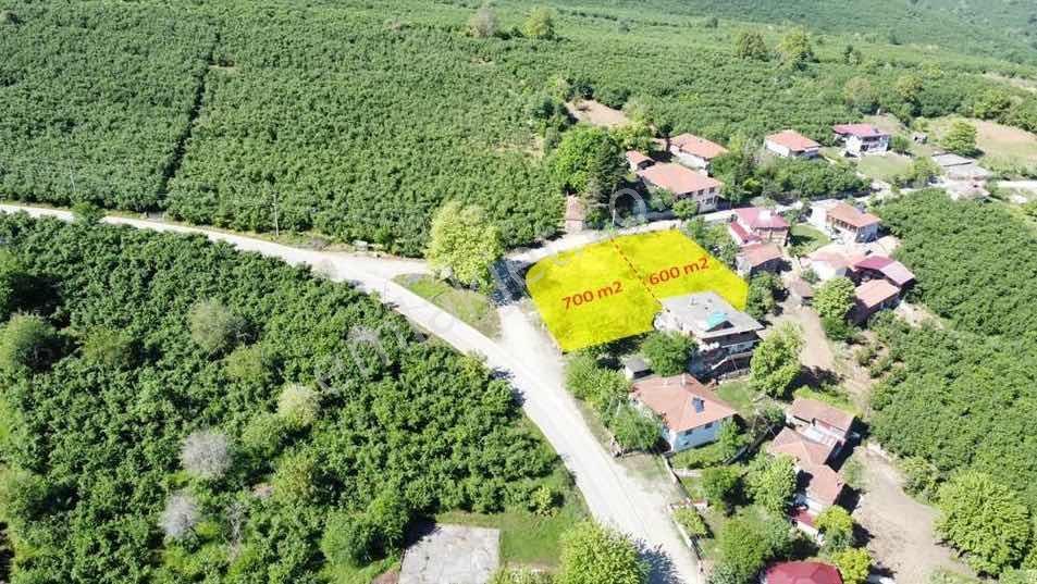 Köy İçi Satılık Arsa - Görsel 4