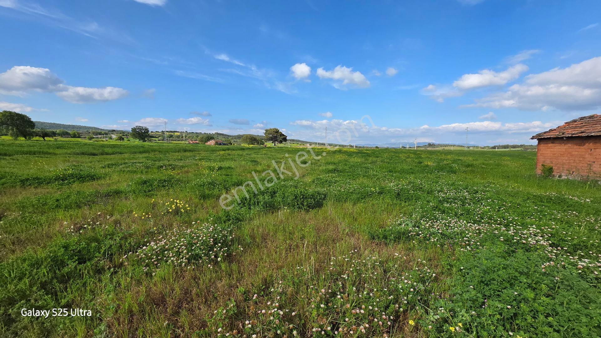 İzmir Bergama Çamtepe Mahallesi Satılık Tarla - Görsel 12