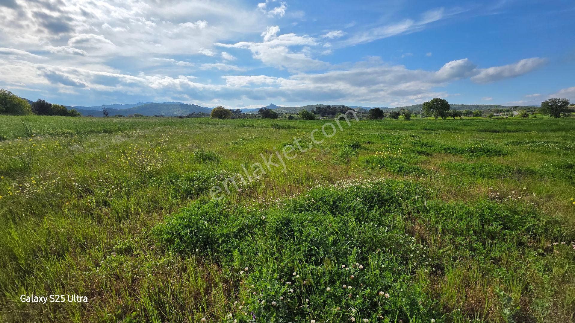 İzmir Bergama Çamtepe Mahallesi Satılık Tarla - Görsel 18