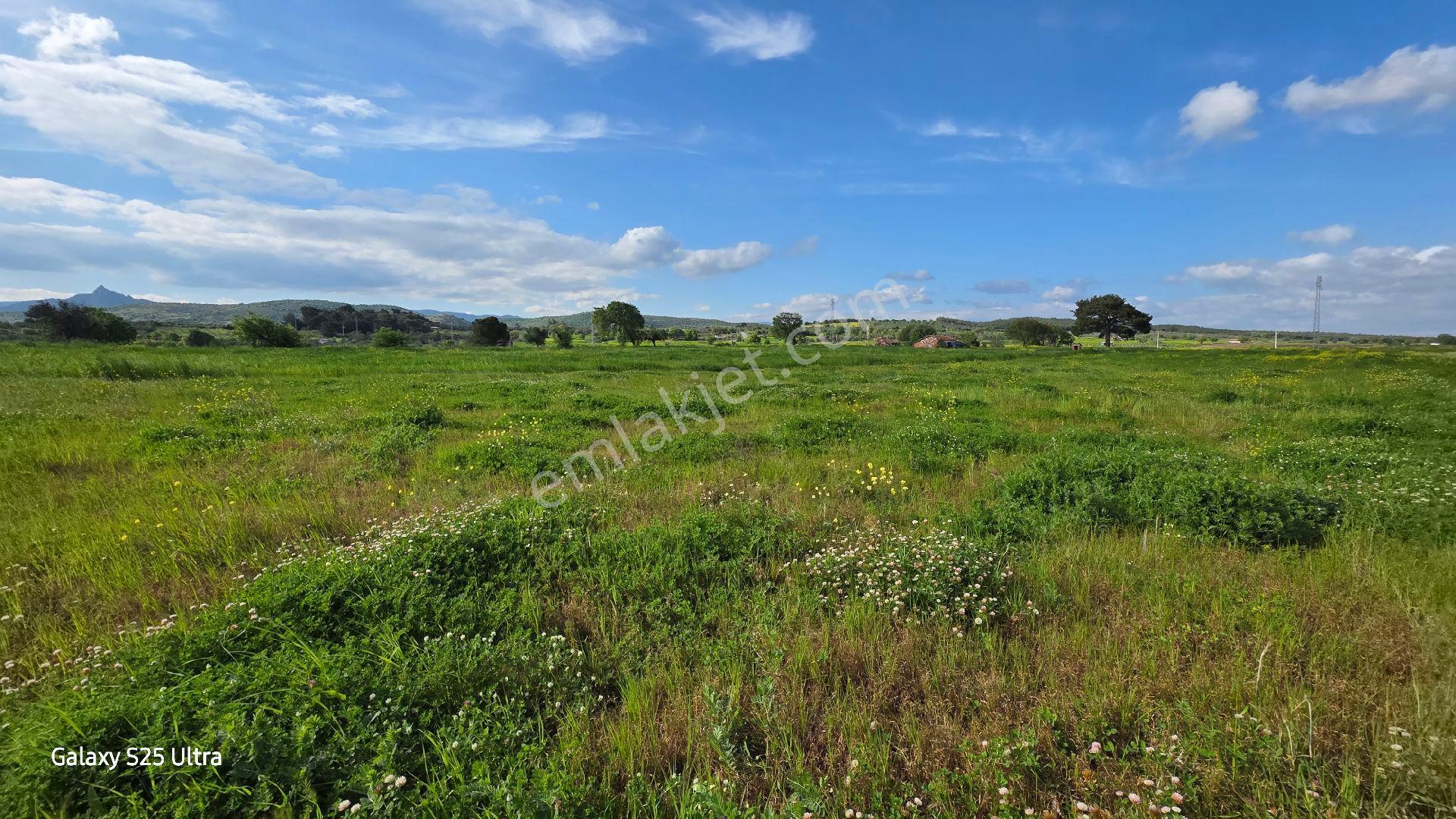 İzmir Bergama Çamtepe Mahallesi Satılık Tarla - Görsel 19