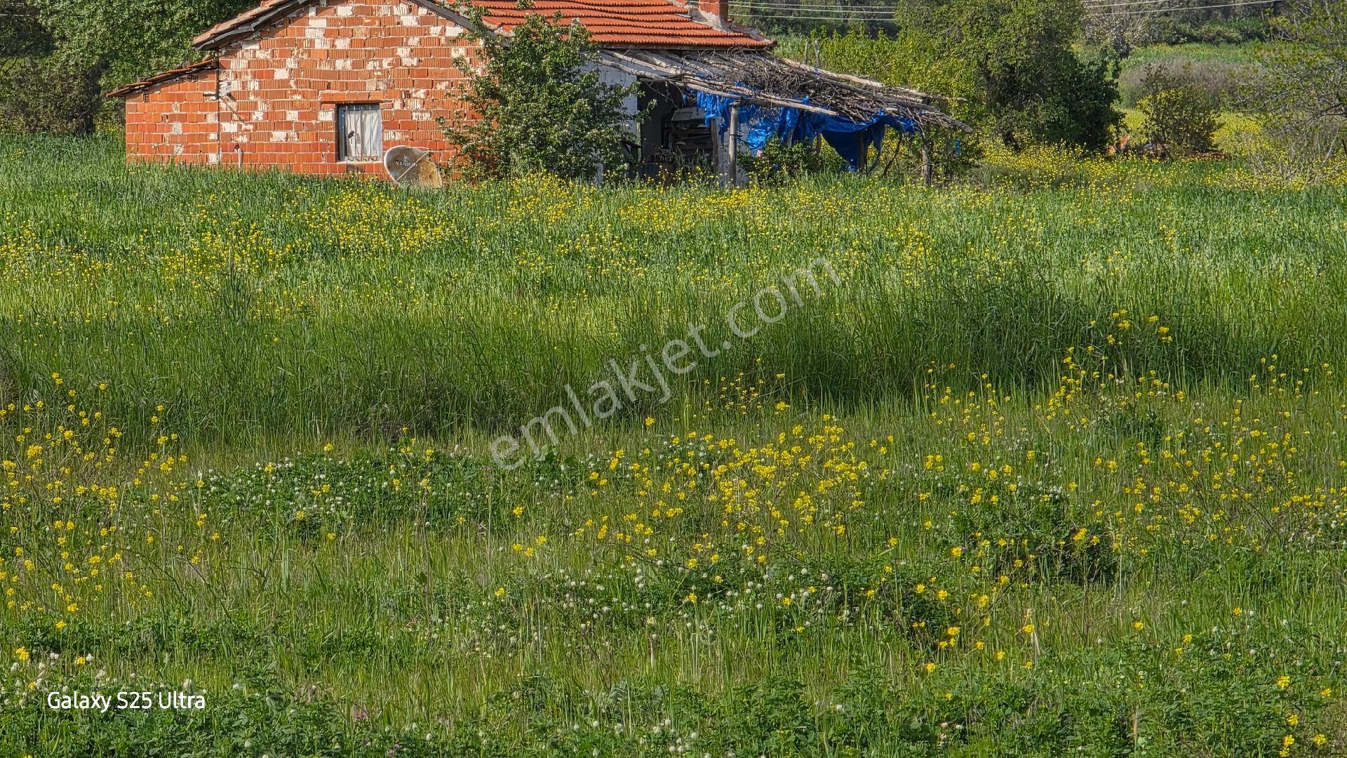 İzmir Bergama Çamtepe Mahallesi Satılık Tarla - Görsel 5