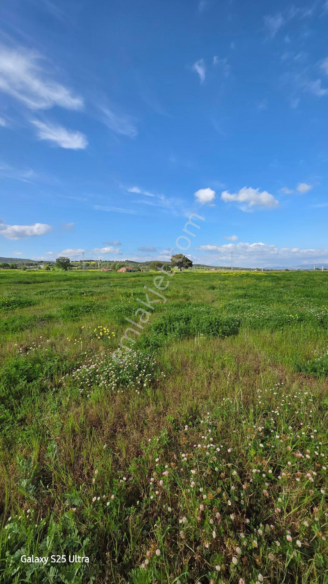 İzmir Bergama Çamtepe Mahallesi Satılık Tarla - Görsel 10