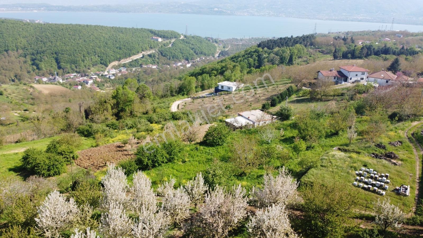 Yukarıdere'de Meyve Bahçesi(göl Manzaralı) - Bahadır Eker'den - Görsel 21