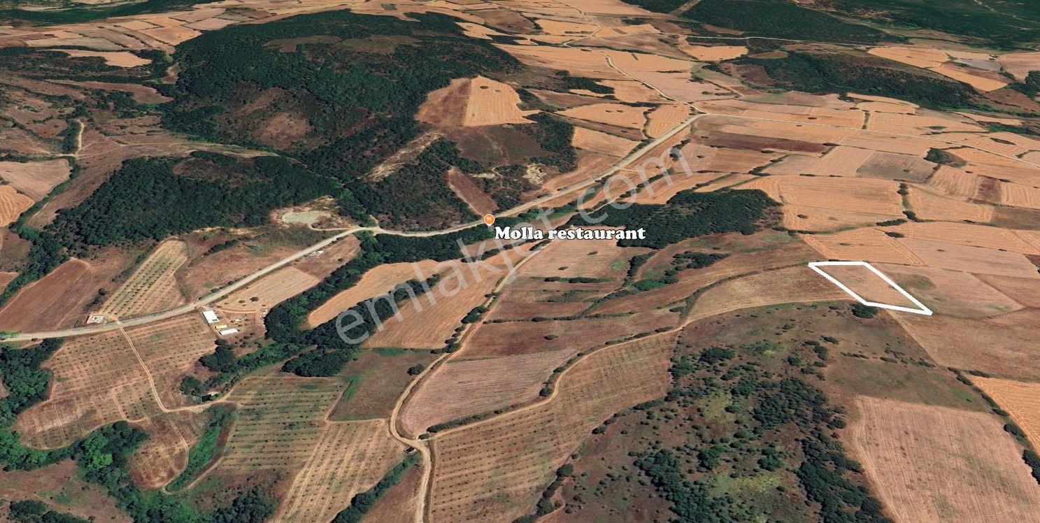 Resmi Yola - Projelere - Köy Merkezine Yakın Yatırım Fırsatı - Görsel 8