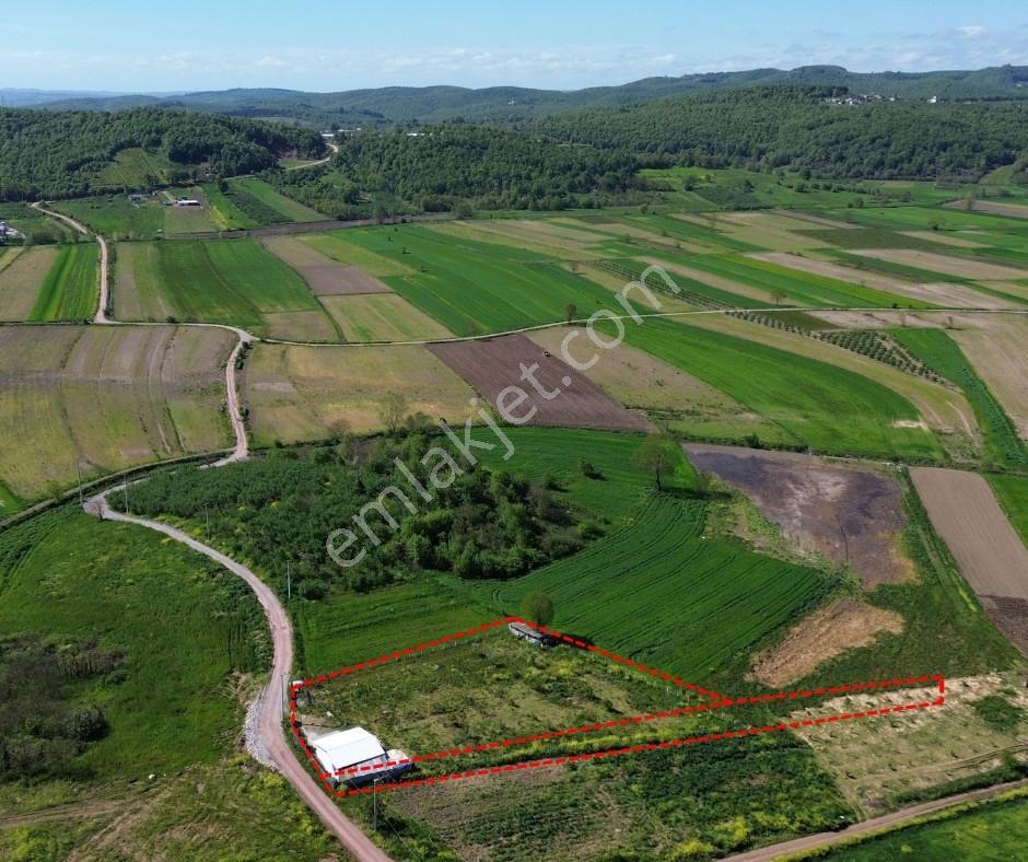 Yeniköy Mahallesinde 3273m2 İçerisinde 1+1 70m2 Evi Olan Tarla